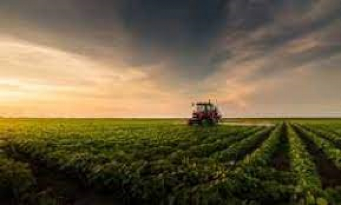 Finanças aprova projeto que prorroga incentivo de ICMS para comércio e segmento agropecuário